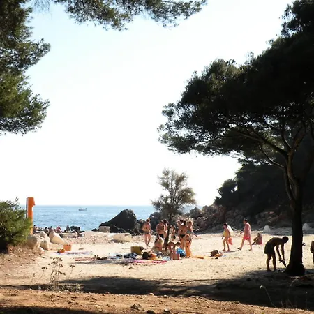 Studio 5 Pers Vue Mer 79463 * Bandol