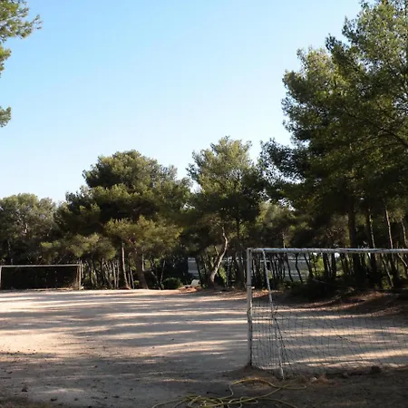 Studio 5 Pers Vue Mer 79463 * Bandol